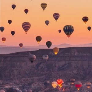 Meet your Posher, Elif